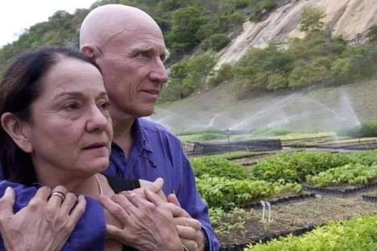 Casal brasileiro passou 20 anos plantando uma floresta inteira com mais de 2 milhões de árvores e viu o cenário se transformar completamente
