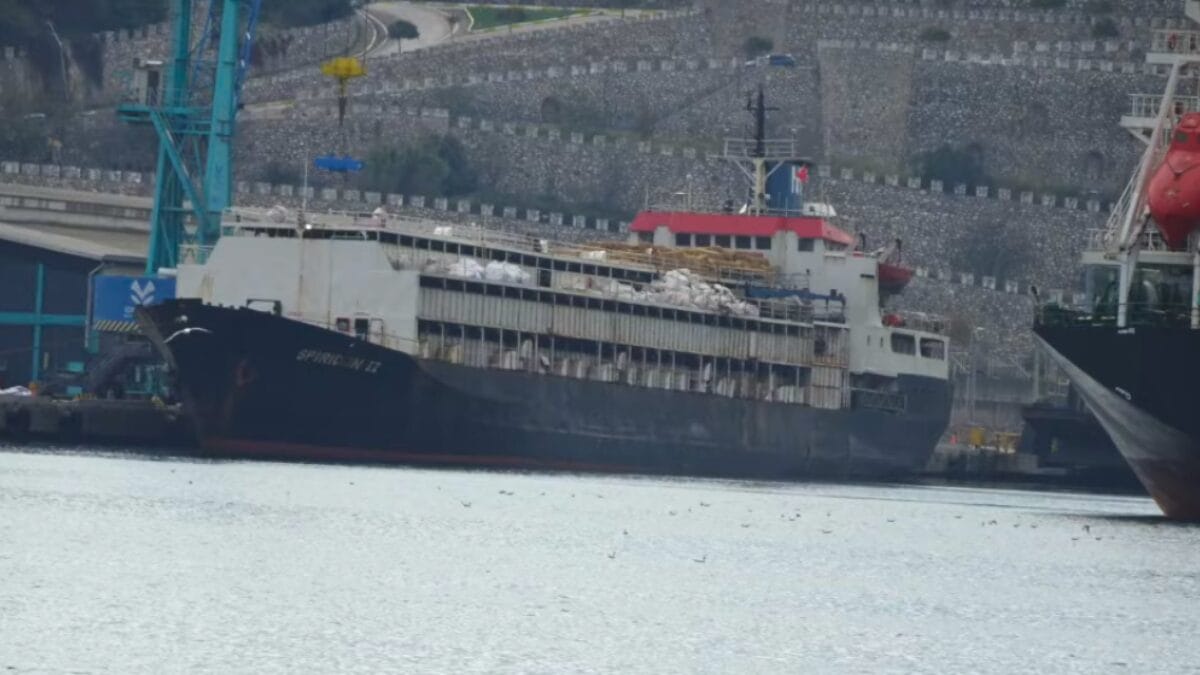 Navio com quase 3 mil vacas fica à deriva por dois meses após não poder atracar e é tomado por forte odor e enxames de moscas