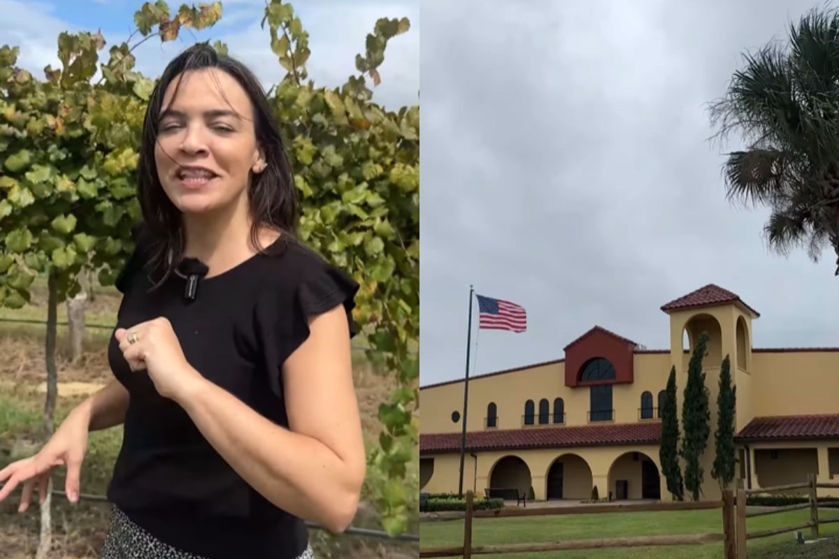 Vinícola na Flórida oferece entrada gratuita e degustações por US$ 5