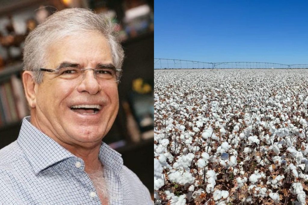 José Pupin, Rei do algodão