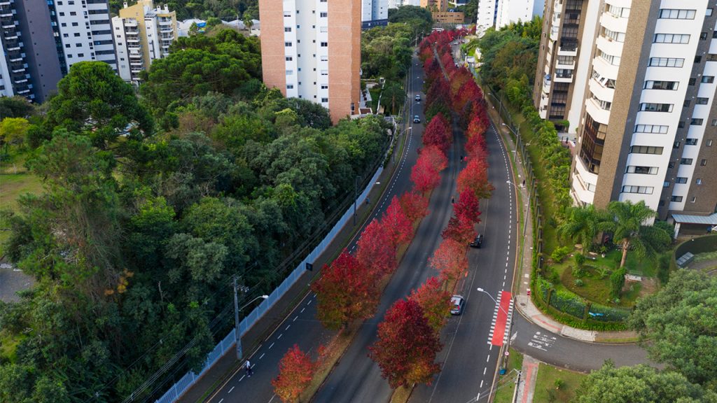 Bairro mais rico e exclusivo do Brasil não fica em São Paulo nem em Brasília e oficialmente não está no mapa