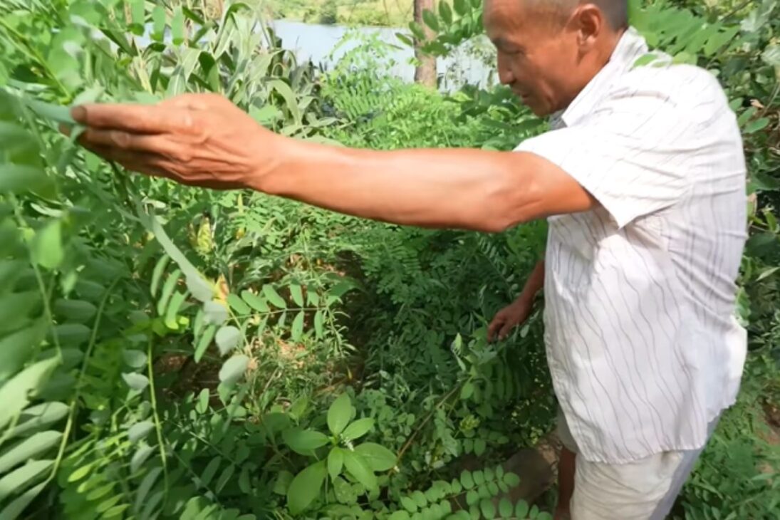 A ilha onde o tempo passa mais devagar que se tornou refúgio perfeito para uma vida de paz