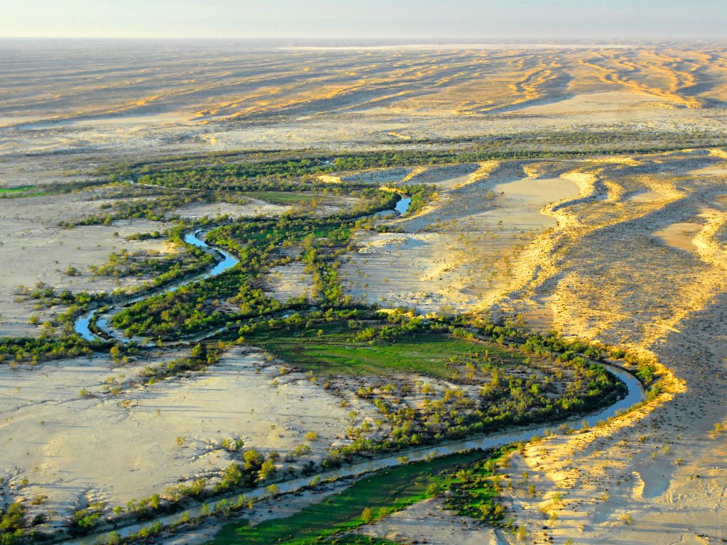 Fenômeno natural transforma região árida em um espetáculo e atrai turistas do mundo inteiro