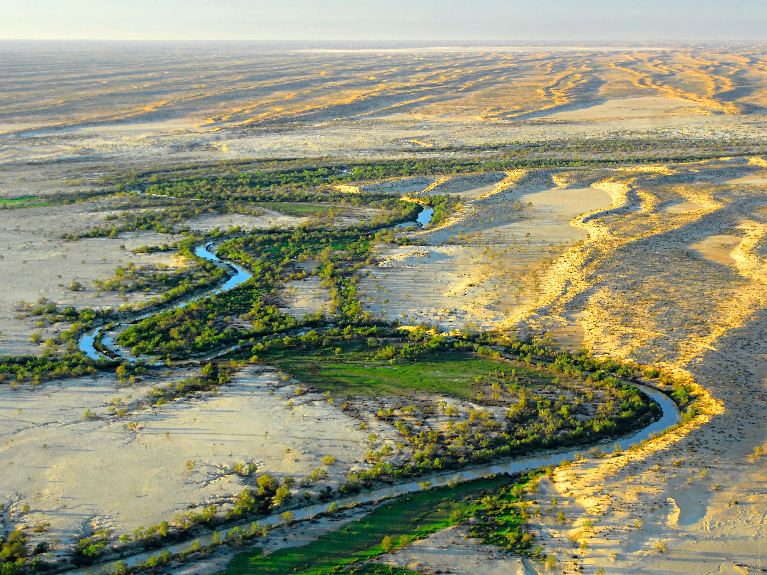 Fenômeno natural transforma região árida em um espetáculo e atrai turistas do mundo inteiro