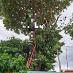 Jovem de 28 anos morre eletrocutado após subir em árvore em Caldas Novas