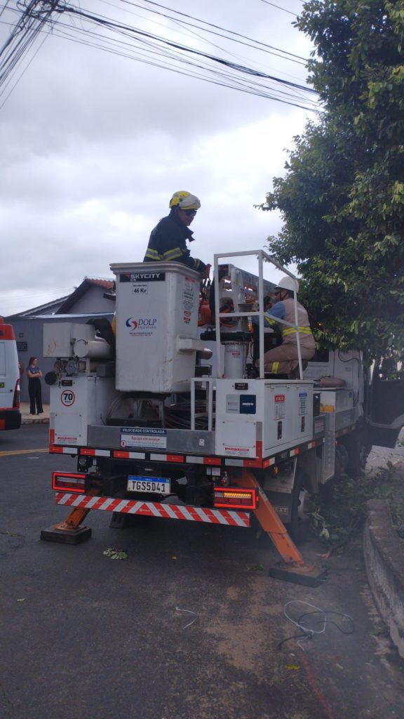 Jovem de 28 anos morre eletrocutado após subir em árvore em Caldas Novas
