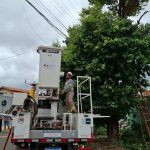 Jovem de 28 anos morre eletrocutado após subir em árvore em Caldas Novas
