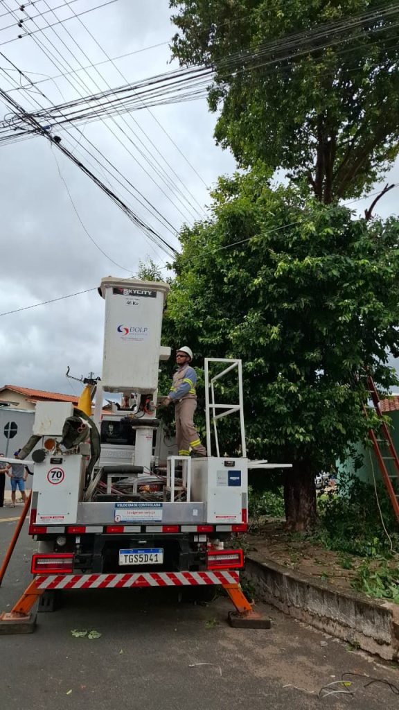 Jovem de 28 anos morre eletrocutado após subir em árvore em Caldas Novas