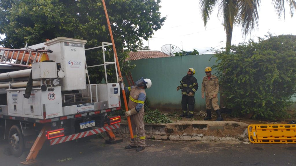 Jovem de 28 anos morre eletrocutado após subir em árvore em Caldas Novas