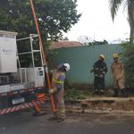 Jovem de 28 anos morre eletrocutado após subir em árvore em Caldas Novas