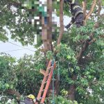 Jovem de 28 anos morre eletrocutado após subir em árvore em Caldas Novas