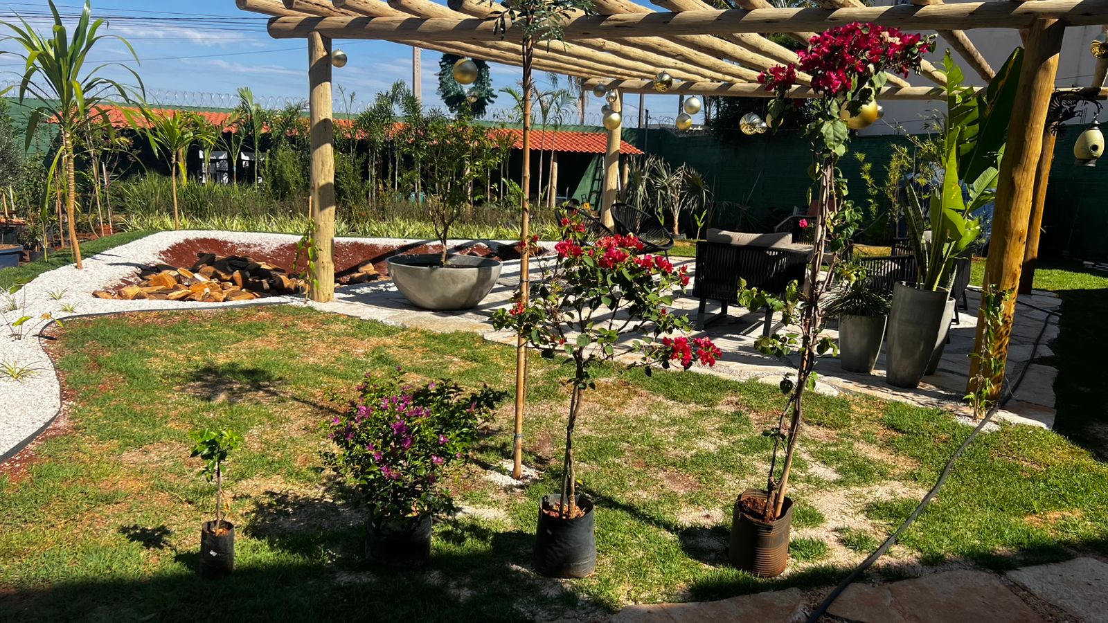 Viveiro aposta em conceito sensorial, serviços especializados e variedade de plantas ornamentais, nativas e frutíferas. (Foto: Reprodução)