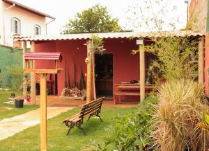 Qual planta colocar na porta de casa para atrair prosperidade neste ano, segundo o Feng Shui