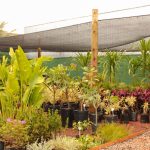 Imagem do WhatsApp de 2025-11-18 à(s) 18.49.45_6e442dde