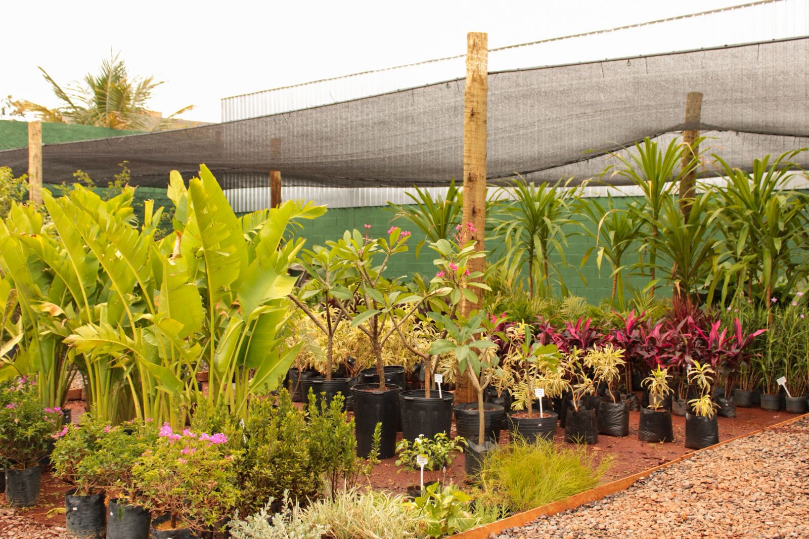 Imagem do WhatsApp de 2025-11-18 à(s) 18.49.45_6e442dde