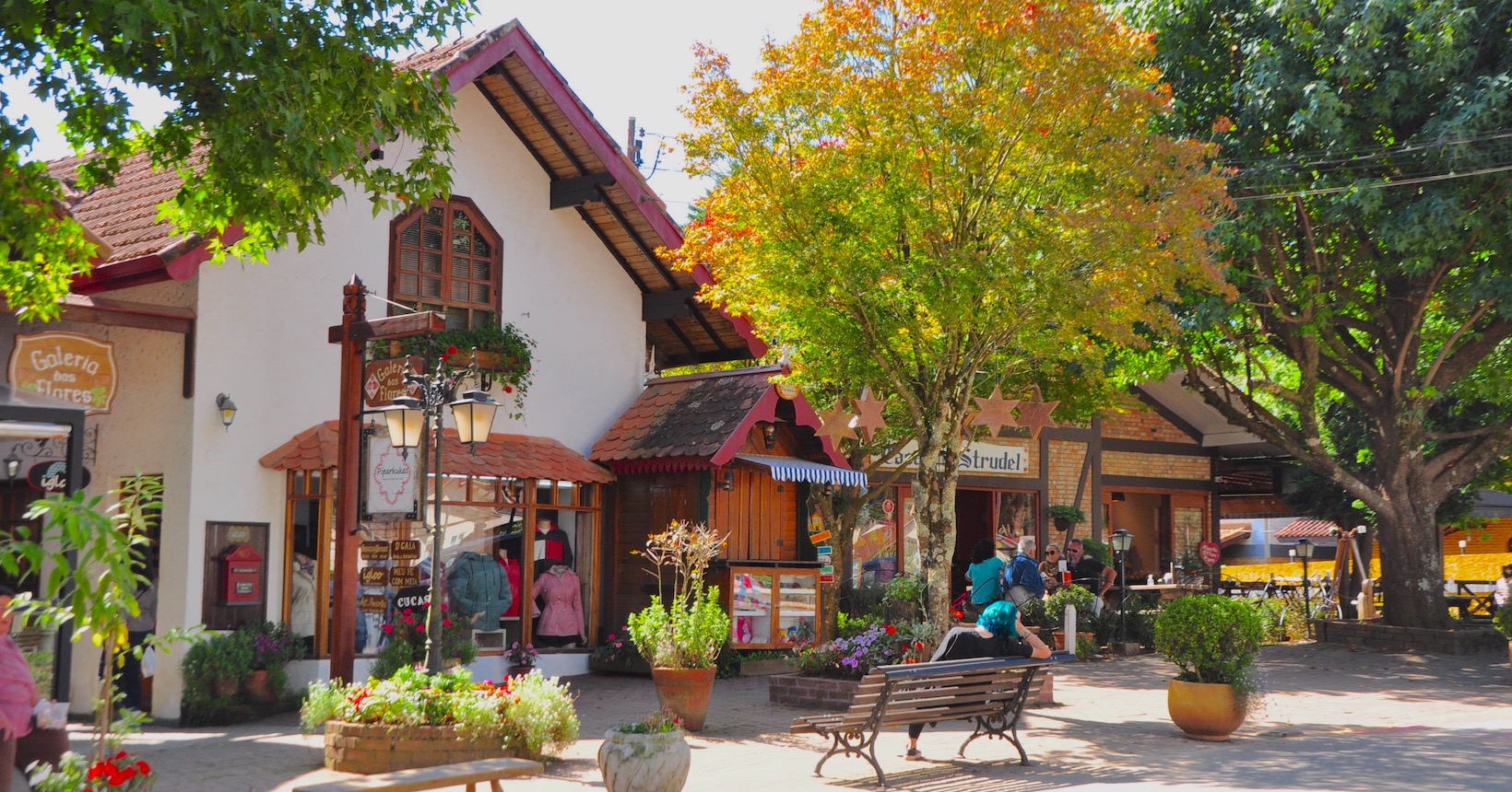 Monte Verde, no sul de Minas Gerais