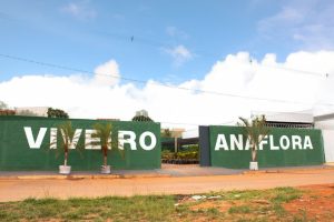 Viveiro AnaFlora abre suas portas em Anápolis. (Foto: Reprodução)