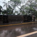 Ônibus tombou em grave acidente na GO-060. (Foto: Reprodução)