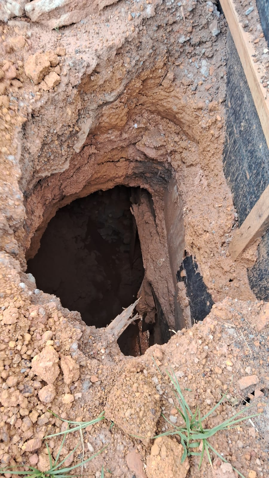 WhatsApp Image 2025-11-04 at 11.39.13 (1)