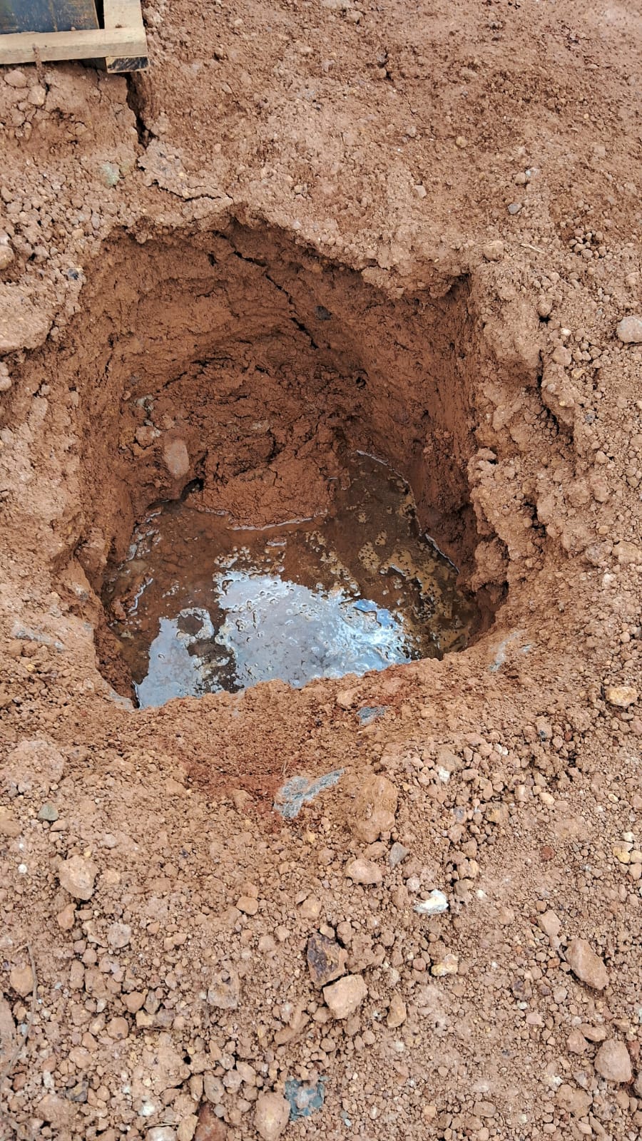 WhatsApp Image 2025-11-04 at 11.39.13 (2)