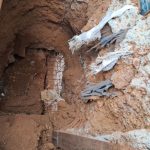 WhatsApp Image 2025-11-04 at 11.39.13 (3)