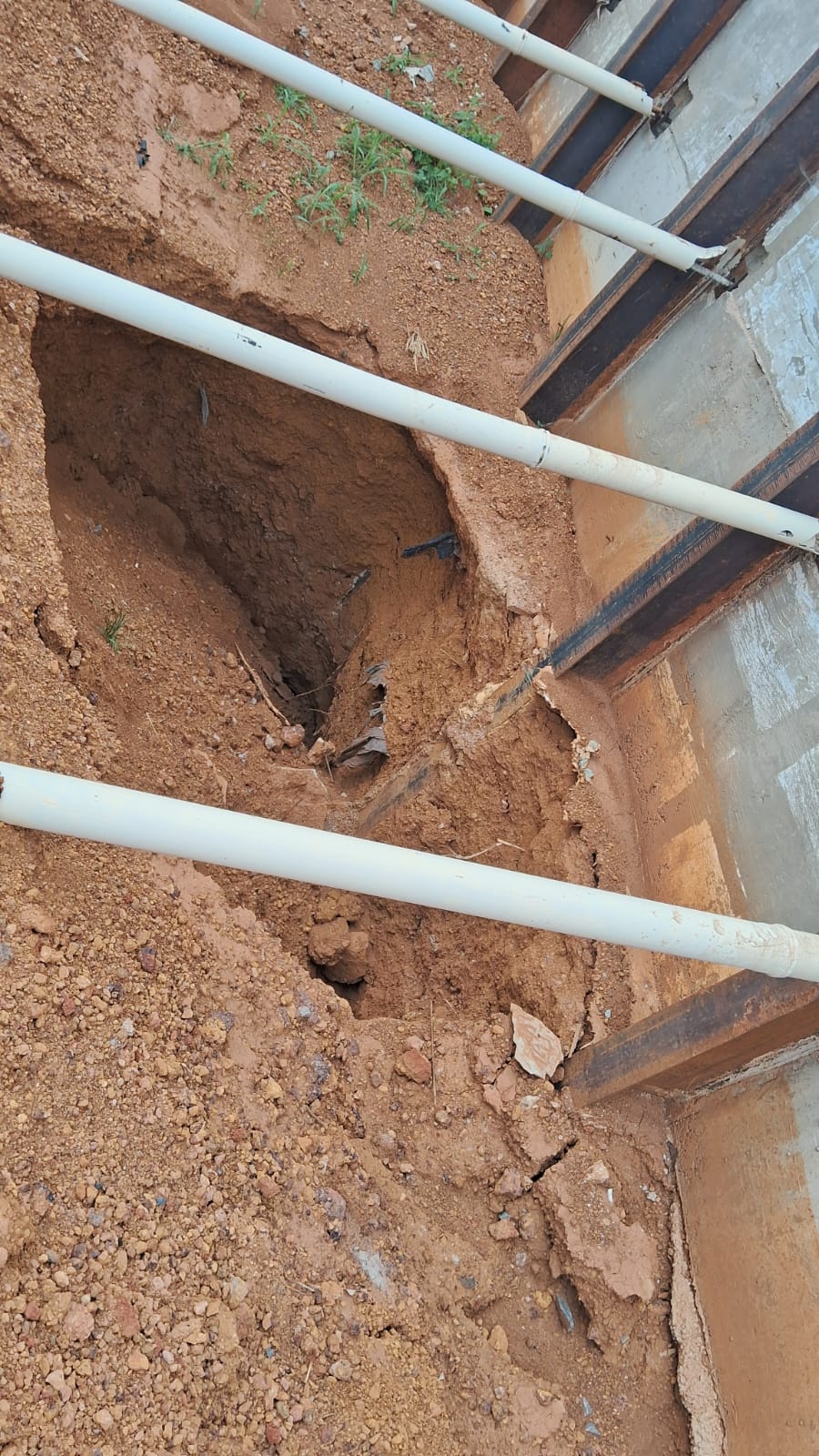 WhatsApp Image 2025-11-04 at 11.39.14 (1)