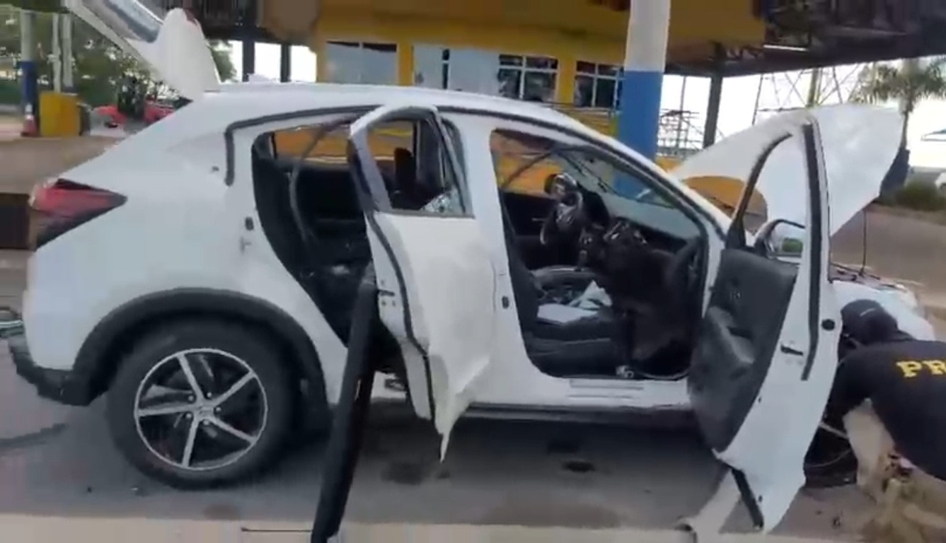 PRF encontra verdadeira "feira" que casal escondia no carro durante fiscalização na BR-153