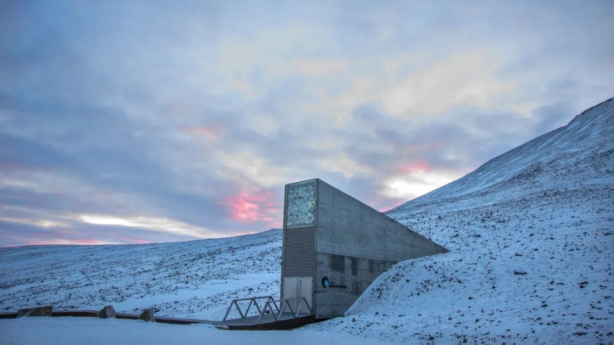 O Banco Mundial de Sementes fica localizado no arquipélago de Svalbard, na Noruega