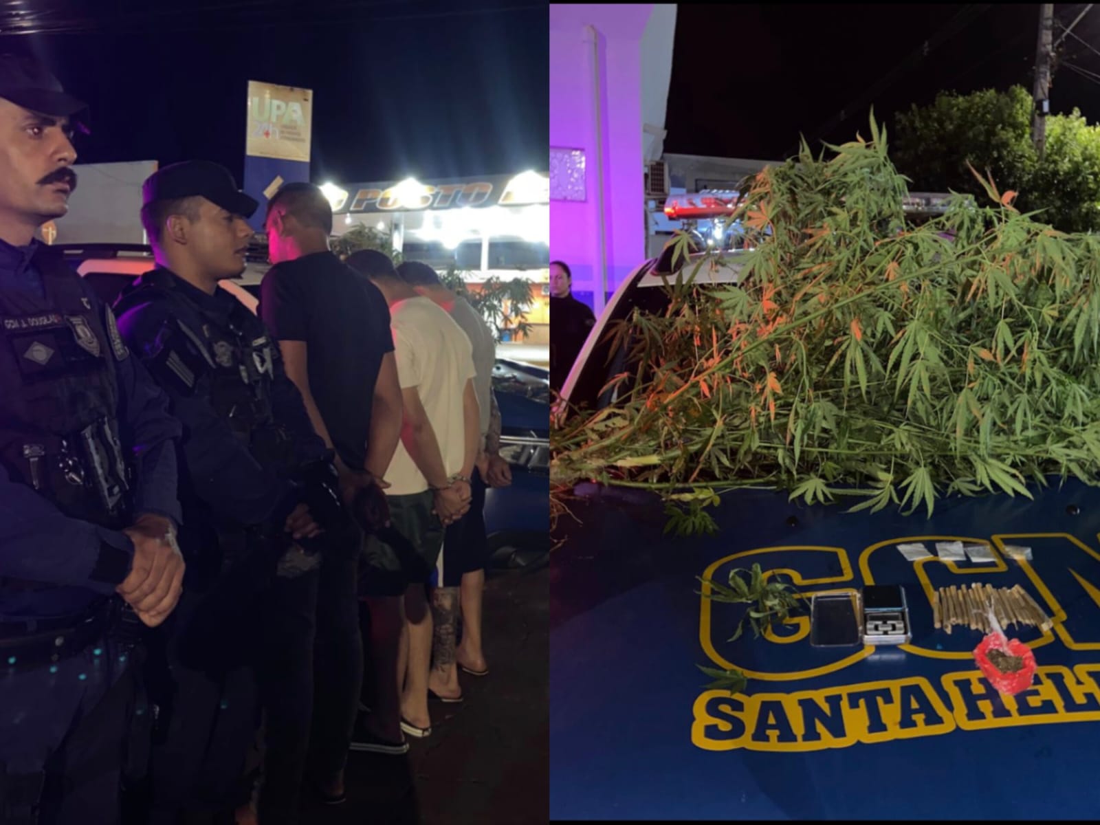 Drogas foram apreendidas pelas autoridades. (Foto: Reprodução)