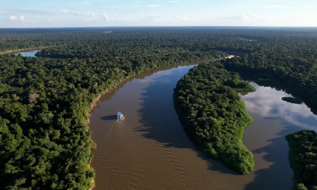 Redução do desmatamento na Amazônia foi histórica, avalia ICMBio