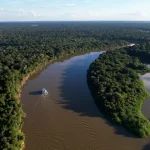 Redução do desmatamento na Amazônia foi histórica, avalia ICMBio
