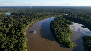 Redução do desmatamento na Amazônia foi histórica, avalia ICMBio