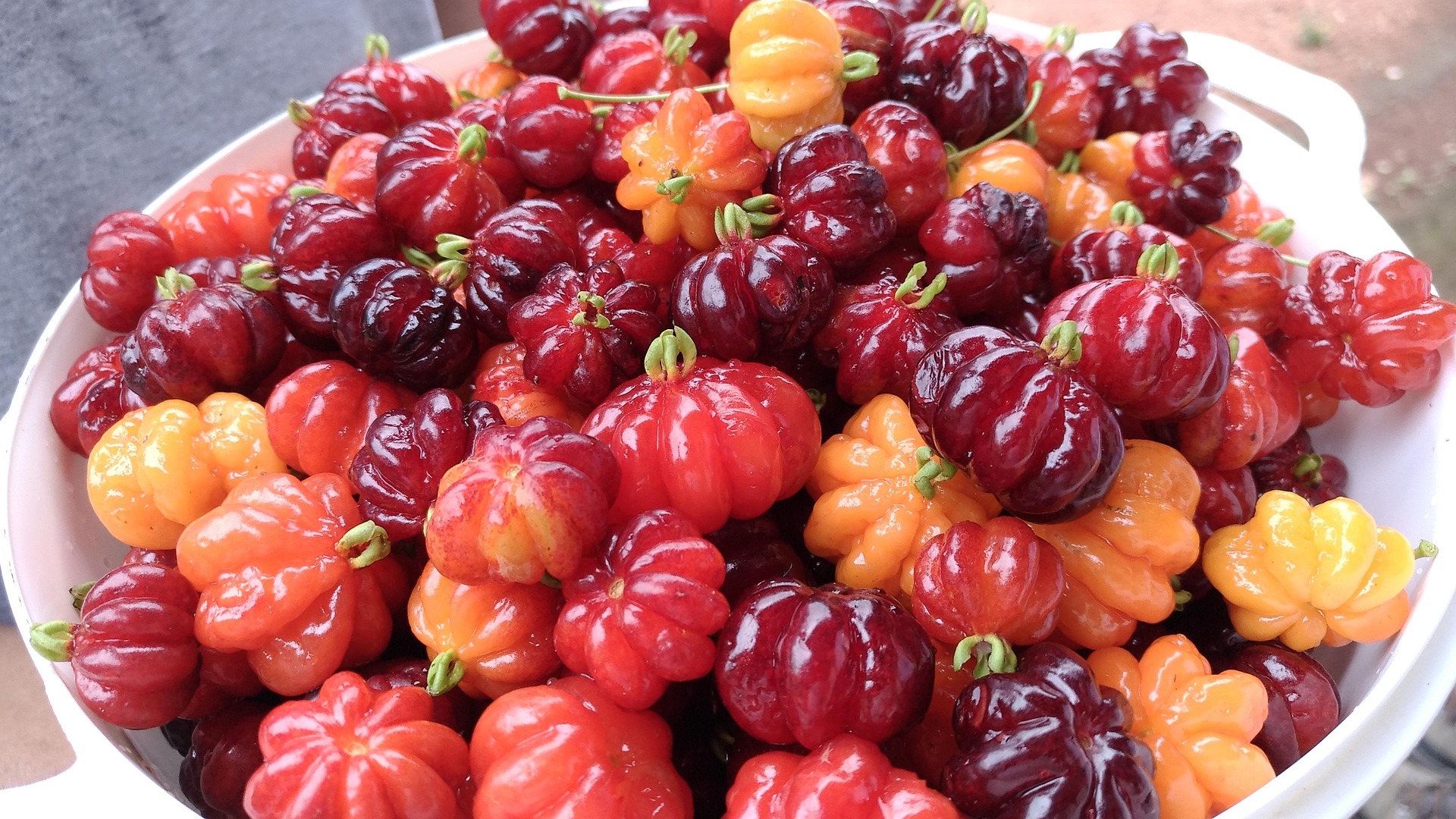 Pouca gente sabe, mas essa fruta de quintal tem compostos poderosos que podem substituir os dos suplementos