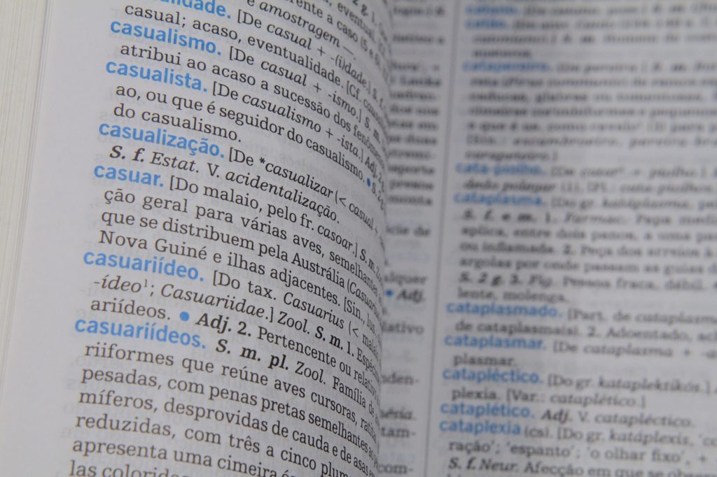 Palavras ditas erradas