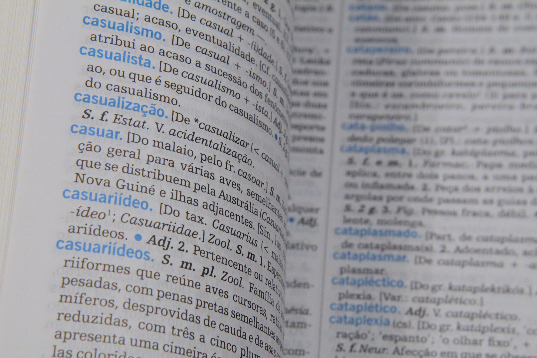 Palavras ditas erradas