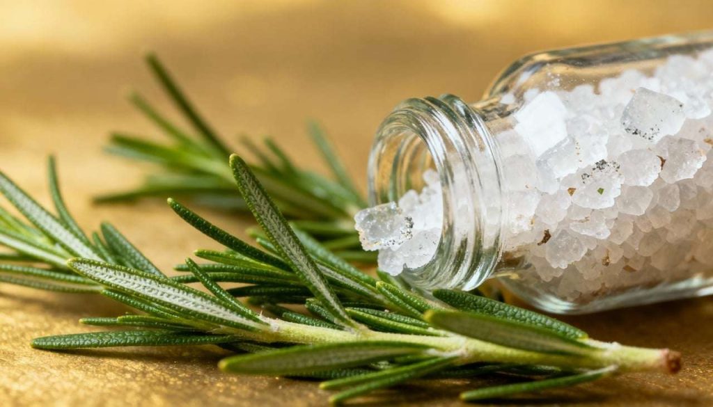 alecrim e sal grosso boas energias em casa