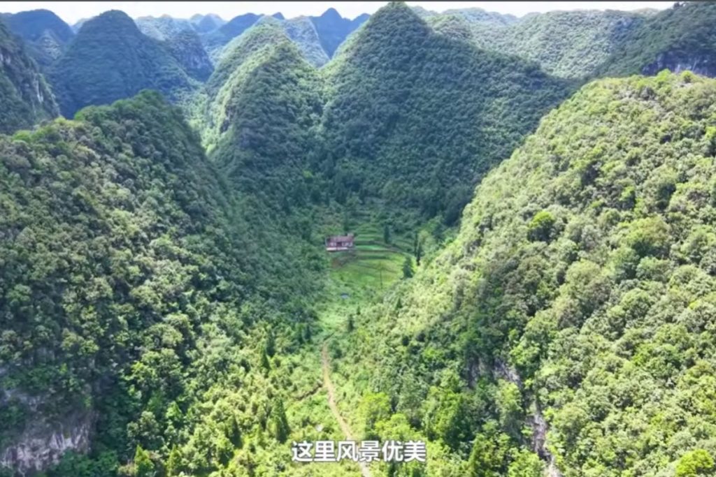Idosa de 83 anos surpreende ao recusar a cidade e viver isolada há décadas nas montanhas de Guizhou