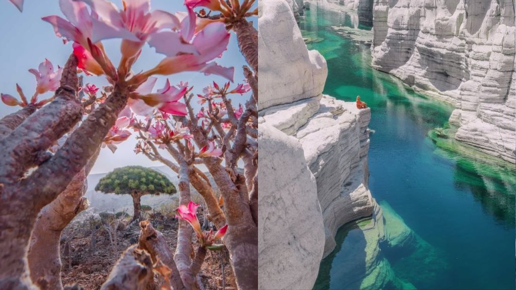 A ilha paradisíaca que parece cenário de filme e tem uma natureza que não existe em nenhum outro lugar