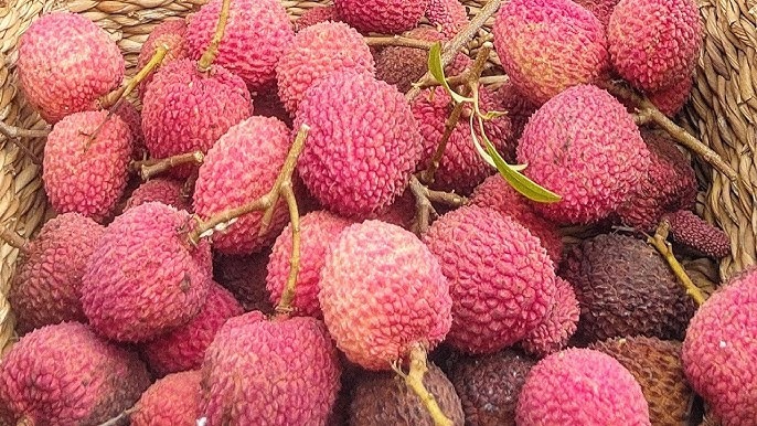 Fruta que reduz açúcar no sangue, queima gordura e absorve colesterol: conheça os benefícios da lichia