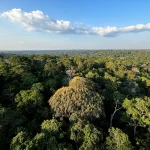 COP30: o que é, quando acontece e o que será discutido em Belém