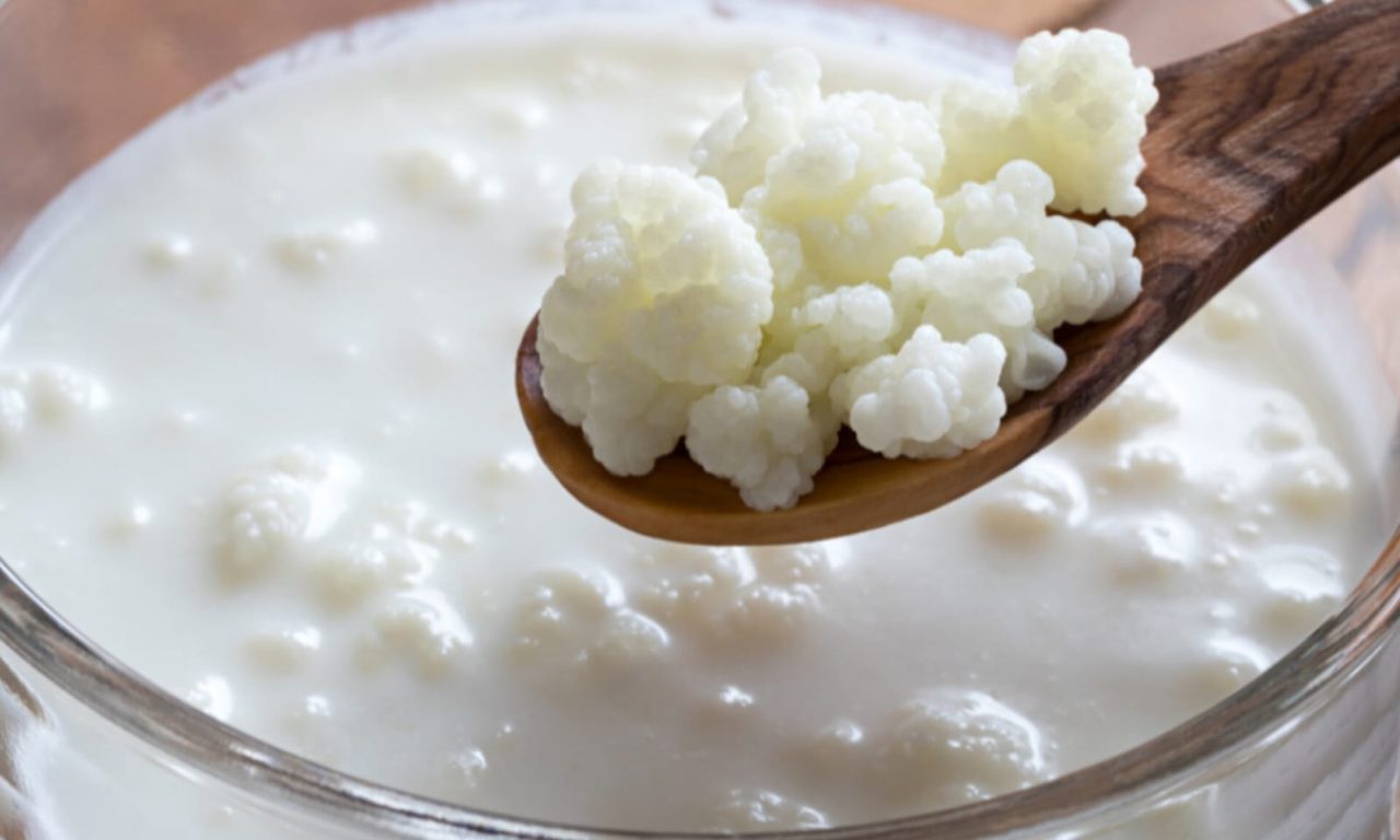 O superalimento antigo que equilibra o intestino e promete benefícios para a saúde