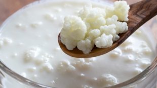 O superalimento antigo que equilibra o intestino e promete benefícios para a saúde