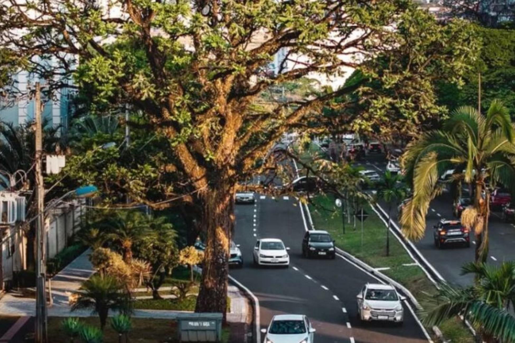 Maringá reconhecida como cidade brasileira referência em limpeza urbana