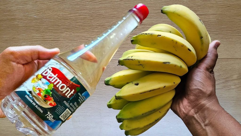 Misturinha para as plantas