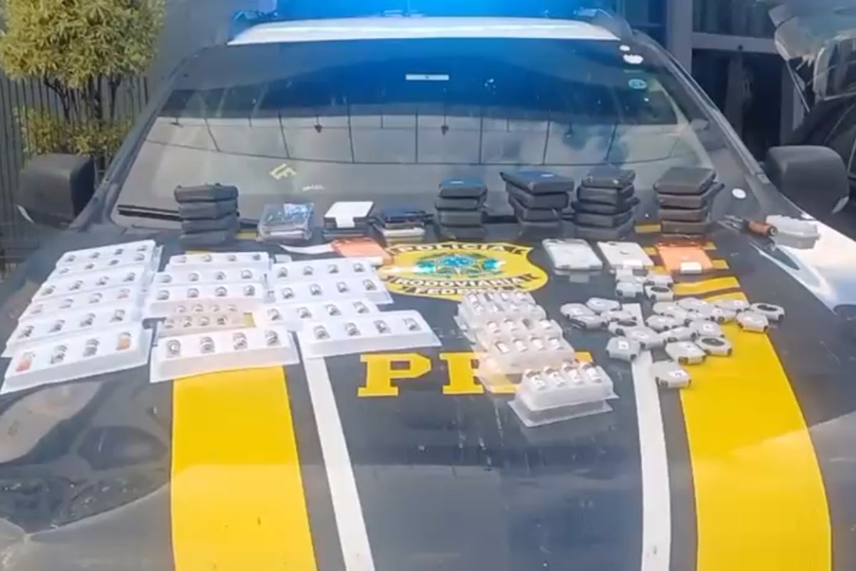 Dupla é presa na BR-153 após agentes da PRF encontrarem verdadeiro "mercado" escondido em carro