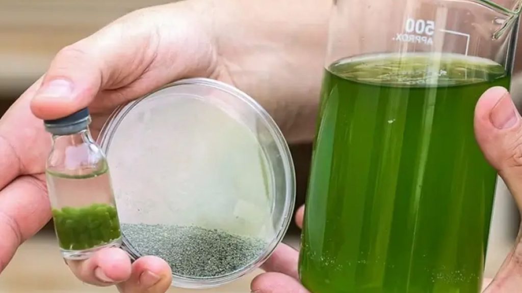 Tecnologia criada por brasileiros transforma lixo em combustível sustentável