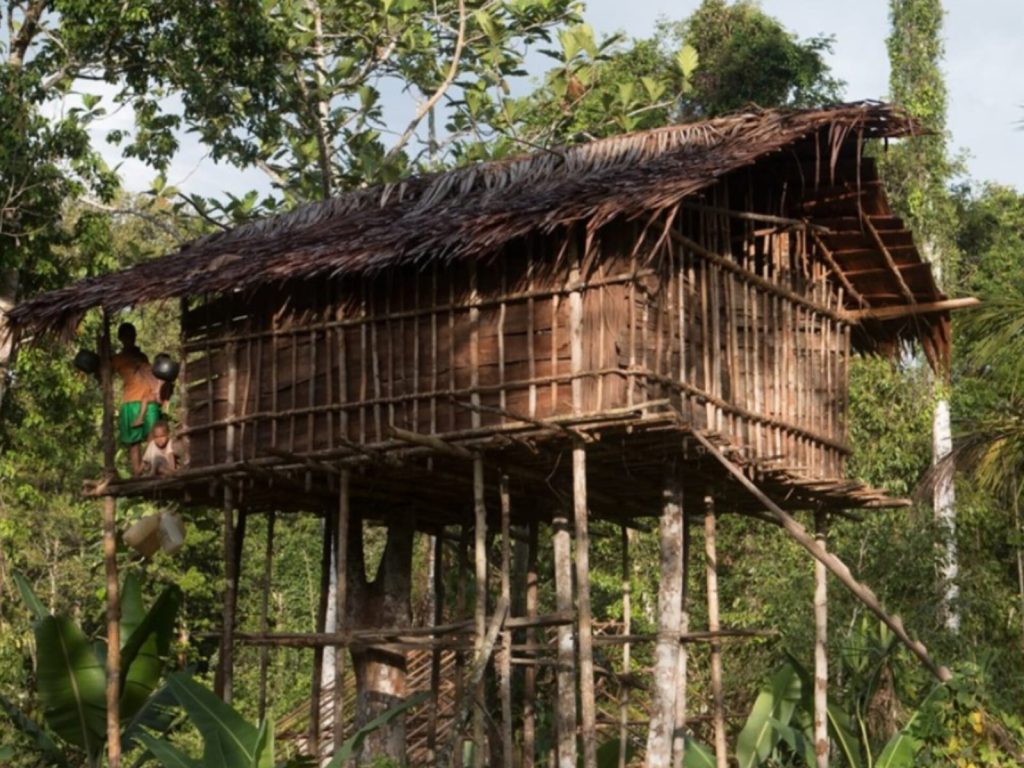 Tribo na Indonésia constrói suas casas a mais de 30 metros de altura no topo das árvores