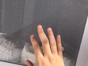 Nova solução barata para espantar insetos promete substituir o mosquiteiro