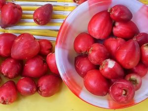 Fruta suculenta ganha destaque por ajudar na pressão e na saúde do coração