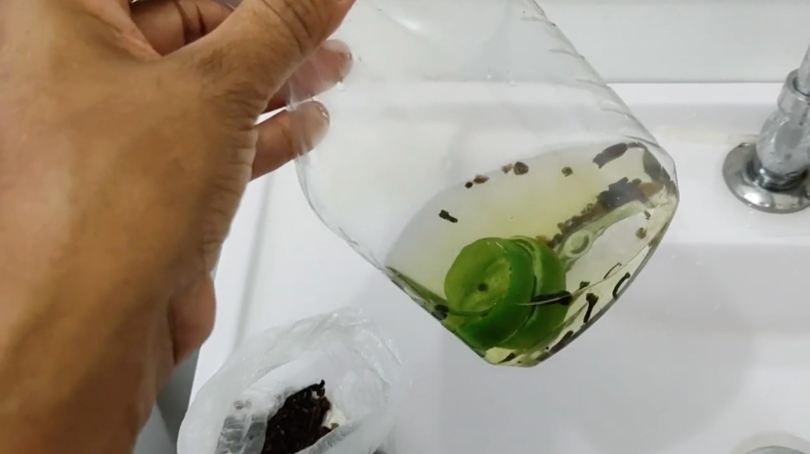 Mistura para acabar com pernilongos e mosquitos em casa